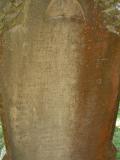 image of grave number 43328
